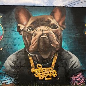 Meet your Posher, Alec